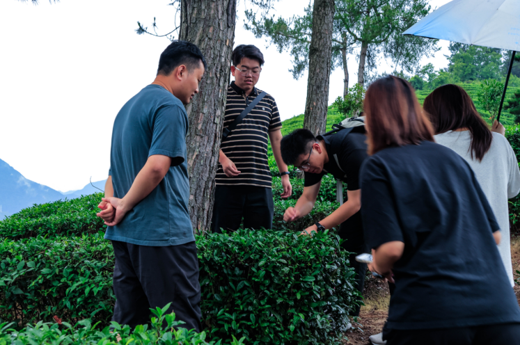 点击图片进入下一页